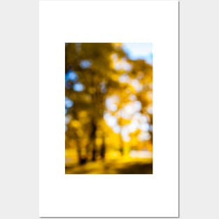 Defocused nature background Posters and Art